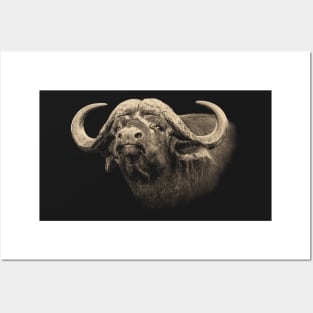 Buffalo Head in Vintage Sepia Posters and Art